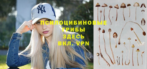 мяу мяу мука Горняк