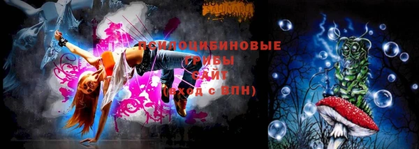 прущий лед Горно-Алтайск