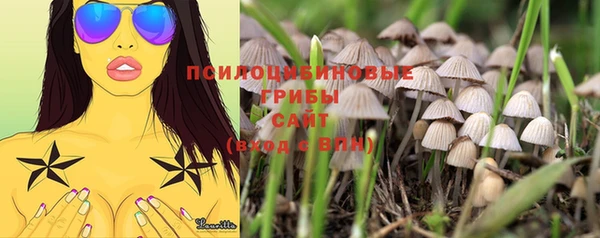 прущий лед Горно-Алтайск