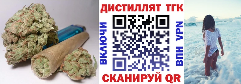 Купить  Ершов  ТГК концентрат 