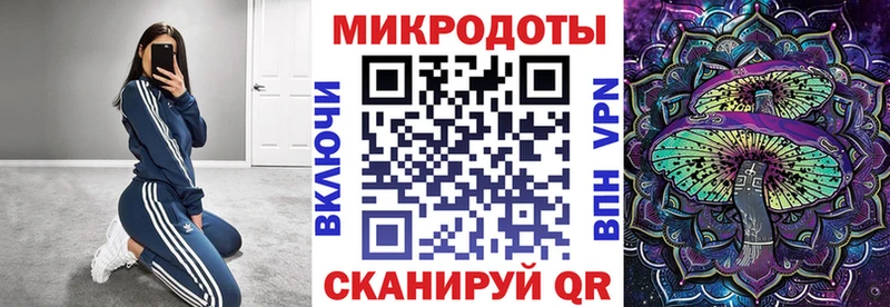 Галлюциногенные грибы Psilocybe  Купить закладки  Ершов 